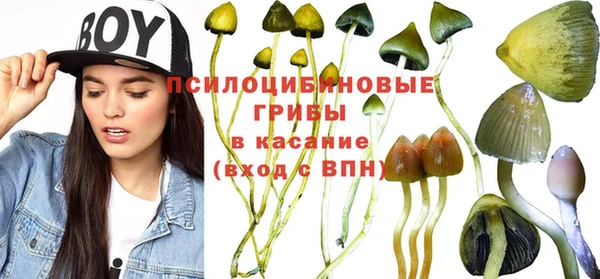 МДПВ Балахна
