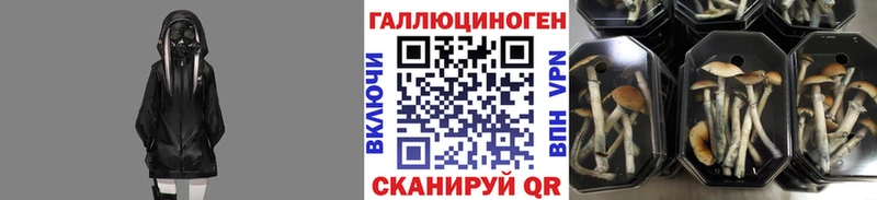 дарнет шоп  дарк нет какой сайт  Галлюциногенные грибы мицелий  Кубинка 