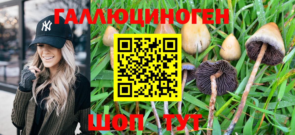 Галлюциногенные грибы мухоморы Кубинка